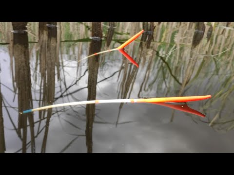 Видео: Рыбалка на поплавок - КРУПНЫЙ ЛИНЬ!! Настоящий КАРАСЬ, камыши трещат