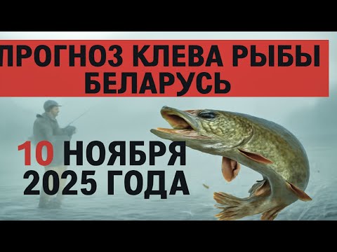 Видео: ПРОГНОЗ КЛЁВА в Беларуси на 10 ноября 2025 года. Бросай все и на рыбалку!
