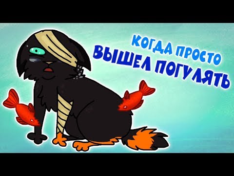 Видео: CatWar | Три нововведения у домашних