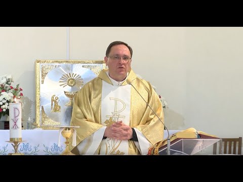 Видео: Святая месса 22.11.2020
