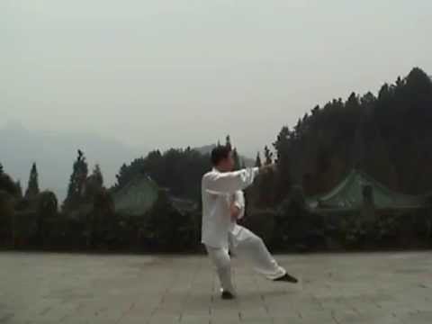 Видео: 8 форм Ян,в исполнении Мастера Ван Лина.