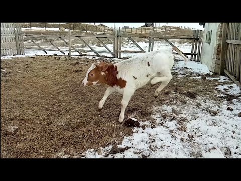 Видео: Шторм разбушевался/Что купили себе на Новый Год