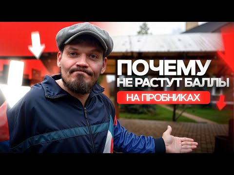 Видео: Почему не растут баллы на пробниках