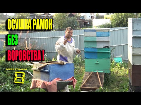Видео: БЕЗОПАСНАЯ ОБСУШКА РАМОК ПОСЛЕ ОТКАЧКИ МЕДА. РАМКИ ПОСЛЕ ОТКАЧКИ ДЛЯ НАЧИНАЮЩИХ ПЧЕЛОВОДОВ 22-35