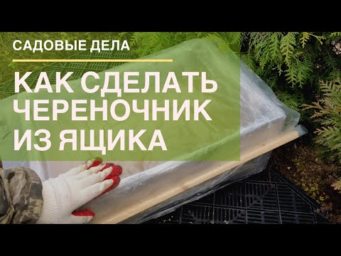 Видео: Как сделать череночник из ящика