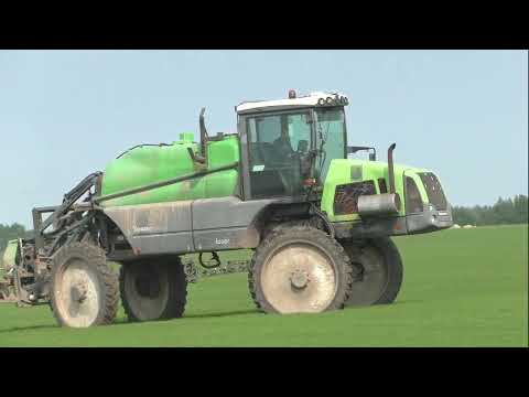 Видео: опрыскивание льна BERTHOUD RAPTOR 5240
