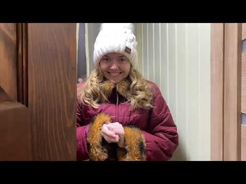 Видео: Многодневный влог / Убираем завалы снега / Кормим птиц / Трескучий мороз январь 2021 г.