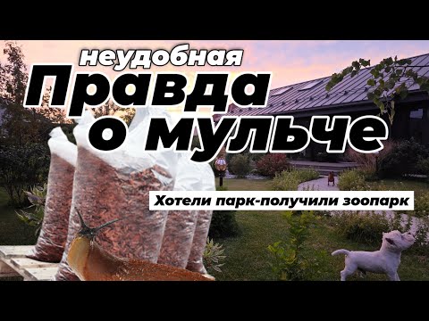 Видео: Правда о мульче! Польза или вред для сада? Как нас развели маркетологи и дизайнеры.