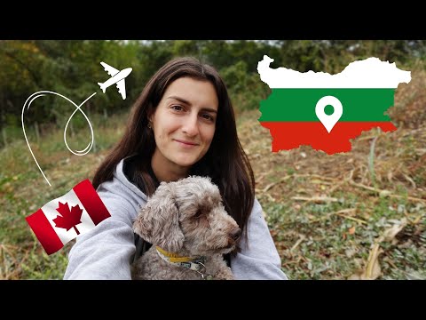 Видео: ОТ КАНАДА ДО БЪЛГАРСКОТО CЕЛО: Какво направихме за 2 години и какво следва? Откривам канала!