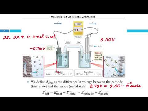Видео: 20.4 Стандартные электродные потенциалы