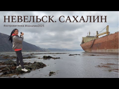 Видео: Как выглядит Невельск на Сахалине в 2025. Лежбище сивучей. Китайский корабль, севший на мель