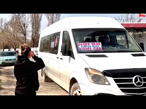 Видео: Көгөй.