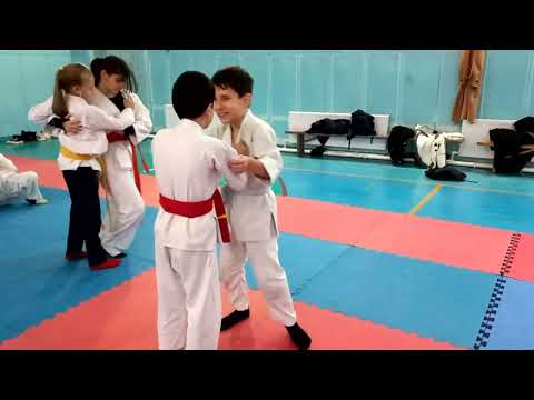 Видео: Готовимся на экзамен, осенний Кю-тест 2024