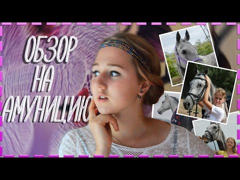 Видео: ОБЗОР НА АМУНИЦИЮ | 2016