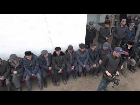 Видео: Шардара ауданы Достық ауылы