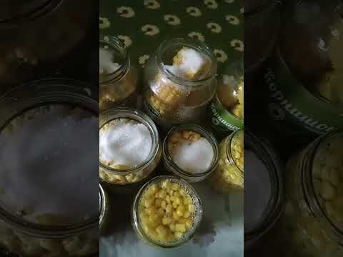 Видео: Яна жухори епамиз