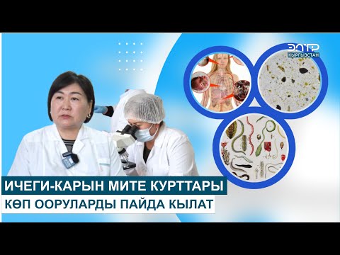 Видео: ИЧЕГИ-КАРЫН МИТЕ КУРТ ООРУЛАРЫН ТАК АНЫКТОО, ТУУРА ДАРЫЛОО // ДЕН СООЛУК