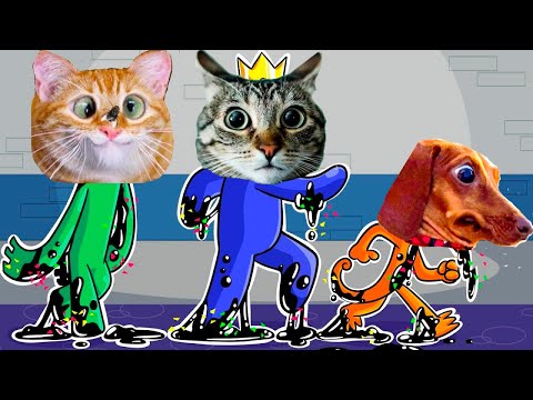 Видео: РАДУЖНЫЕ КОТЫ съели ДРУГ ДРУГА! ПРИКОЛЫ с КОТАМИ, СОБАКАМИ TикToк НЕ ЗАСМЕЙСЯ ЧЕЛЕНДЖ Лера и  Макс