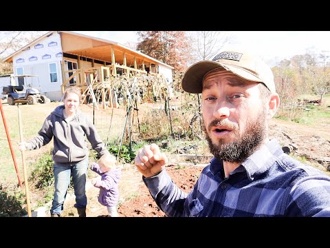 Видео: Последнее из этого