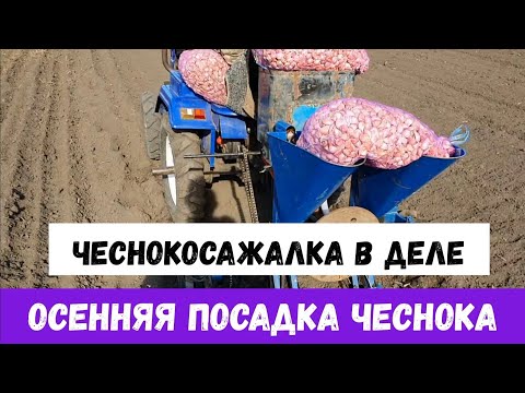 Видео: ОСЕННЯЯ ПОСАДКА ЧЕСНОКА  МОДЕРНИЗИРОВАННАЯ ЧЕСНОКОСАЖАЛКА В ДЕЛЕ