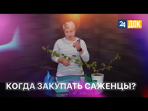 Видео: Плюсы и минусы осенней и весенней посадки саженцев. ЗЕМЛЕХОД