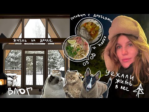 Видео: 28. Тихий влог, встречи с друзьями, уехали жить на дачку в лес, дом A-frame