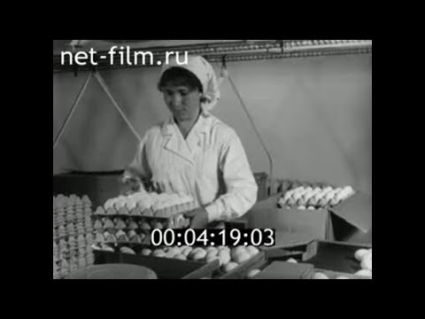 Видео: 1972г. Птицефабрика Боровская. п. Боровской Тюменский район и обл