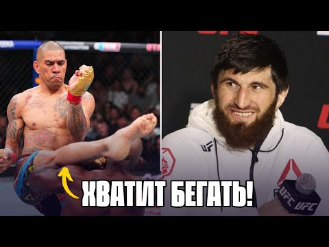 Видео: ⚡️АНКАЛАЕВ после РАКИЧА прикончит ПЕРЕЙРУ?! | Перейра - Раунтри, обзор UFC 307 | Setanta Sports