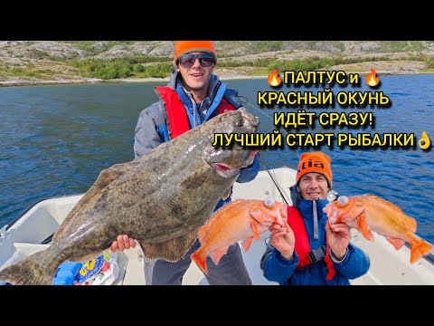 Видео: РЫБАЛКА В НОРВЕГИИ, ПАЛТУС, КРАСНЫЙ ОКУНЬ и БОЛЬШАЯ ТРЕСКА С ПЕРВОГО ДНЯ!