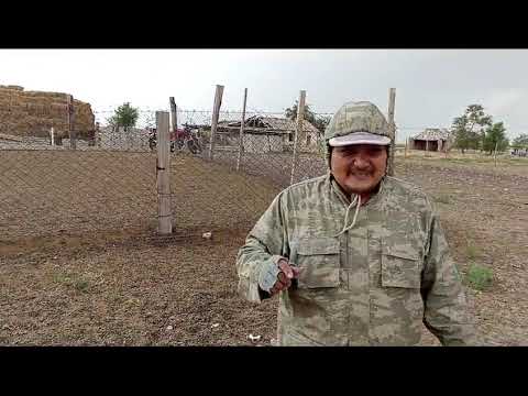 Видео: Будни фермера/лайфхак по установке огородительной шарнирной сетки "чабанка.'