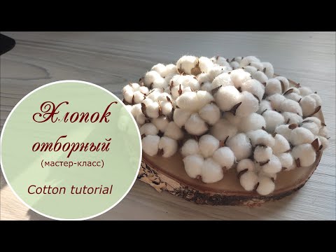 Видео: Хлопок отборный / мастер-класс / cotton tutorial