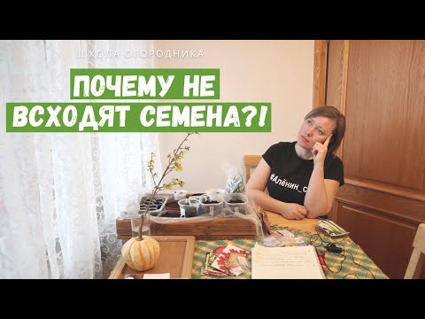 Видео: Всего 2 причины! Почему не всходят семена? / Ответы на вопросы и полезные советы