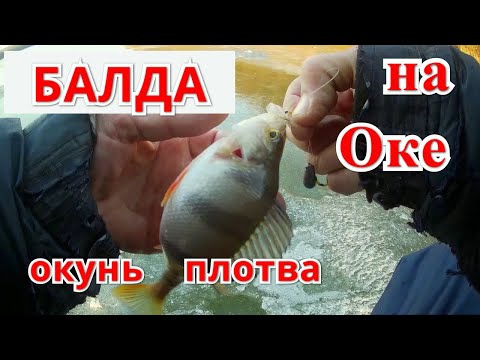 Видео: Зимняя рыбалка на БАЛДУ. Рыбалка на Оке в декабре 2019.