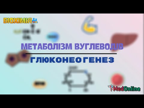Видео: Метаболізм Вуглеводів | Глюконеогенез