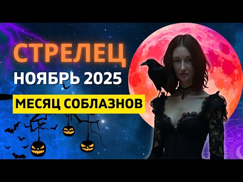 Видео: СТРЕЛЕЦ ♐: РЕТРОГРАДНЫЙ МЕРКУРИЙ - САМЫЙ ЭМОЦИОНАЛЬНЫЙ МЕСЯЦ ГОДА | ГОРОСКОП на НОЯБРЬ 2025 ГОДА