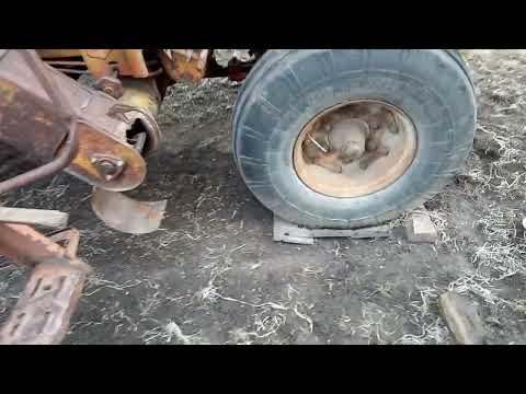 Видео: Нижнє решето комбайна Нива ск-5