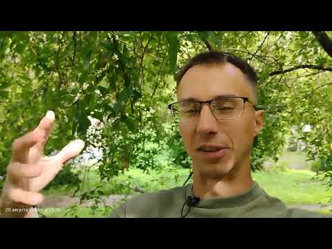 Видео: Тревожиться хватит, давай уже #здоровье #травожность #психология