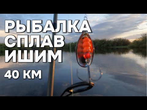 Видео: СПЛАВ ИШИМ 40км. на веслах #РЫБАЛКА 🎣