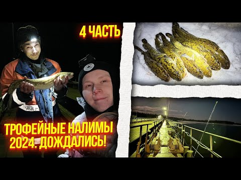 Видео: МЫ В ШОКЕ!ТАКИХ НАЛИМОВ МЫ ЕЩЕ НЕ ЛОВИЛИ!
