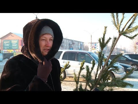 Видео: "Я в Бийске. Есть мнение" - что будет, если правительство запретит Деда Мороза?