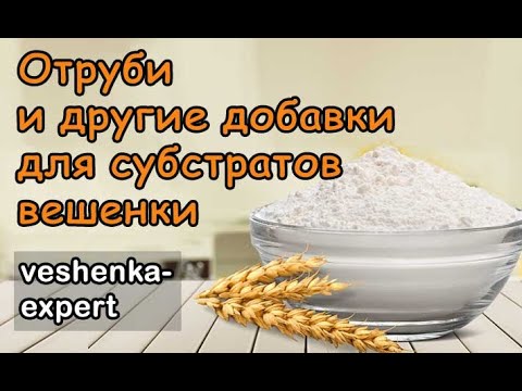 Видео: Отруби и другие добавки для субстратов вешенки.