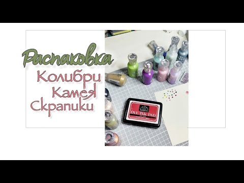 Видео: Распаковка/ Колибри, Камея, Скрапики / скрапбукинг