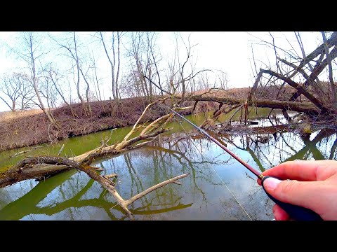 Видео: Микро-речка ДО запрета - голавль и щука на спиннинг! Злые щучки не давали скучать! Рыбалка в марте