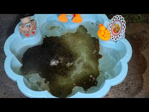 Видео: ЧИСТКА ДОМА ОТ ЗЛА И ВРЕДОНОСНОГО КОЛДОВСТВА!!!🛀🛌❤️❤️❤️🫶