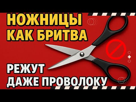 Видео: Как ПРОСТО заточить любые ножницы дома до бритвенной остроты за 1 МИНУТУ⁉️