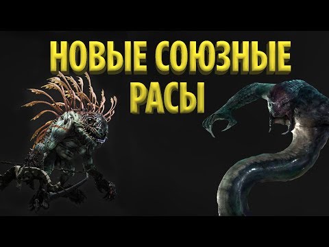 Видео: ТОП 10 НОВЫХ СОЮЗНЫХ РАС, КОТОРЫЕ МОГУТ ПОЯВИТЬСЯ В WORLD OF WARCRAFT