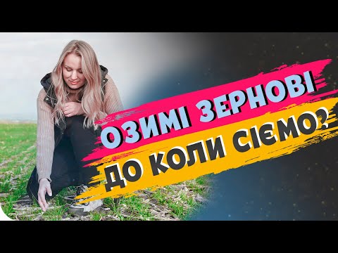 Видео: ОЗИМІ ЗЕРНОВІ🌾. ДО ЯКОГО ЧАСУ ЩЕ МОЖНА СІЯТИ? #ОсновиЗемлеробства