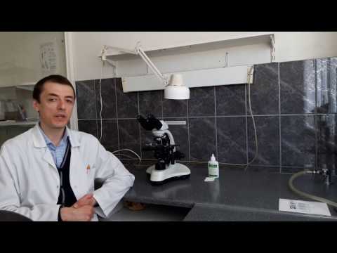 Видео: О канале "Микробиология и Инфекции"