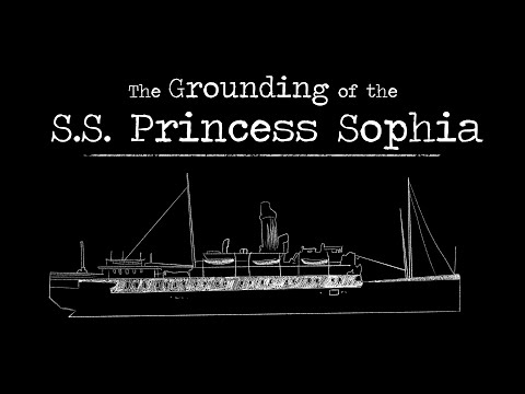 Видео: Посадка на мель лайнера «Принцесса София»