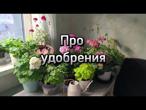 Видео: 6 апреля 2024 г.